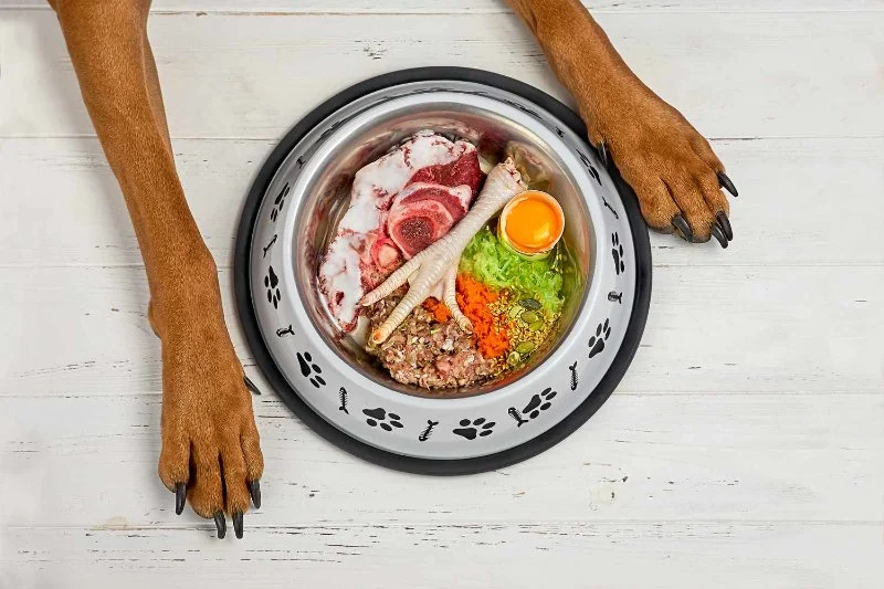 The Pros and Cons of Raw Food Diet for Dogs: An Honest Look