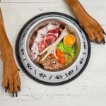 The Pros and Cons of Raw Food Diet for Dogs: An Honest Look