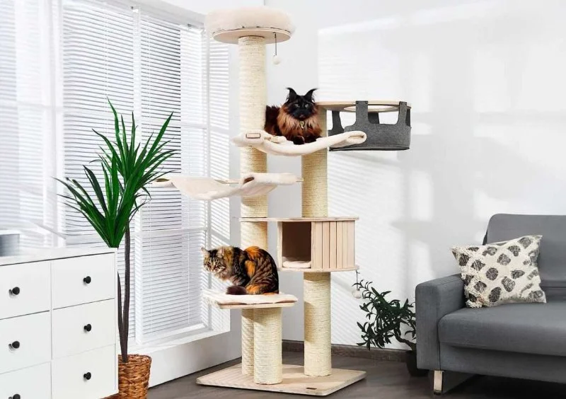 The Best Cat Trees for Energetic Kittens to Climb