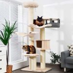 The Best Cat Trees for Energetic Kittens to Climb