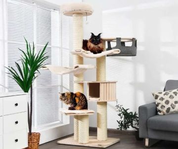 The Best Cat Trees for Energetic Kittens to Climb