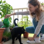 The Best Pet-Safe Paint for Kitten Furniture: A Guide to Safe and Stylish Choices