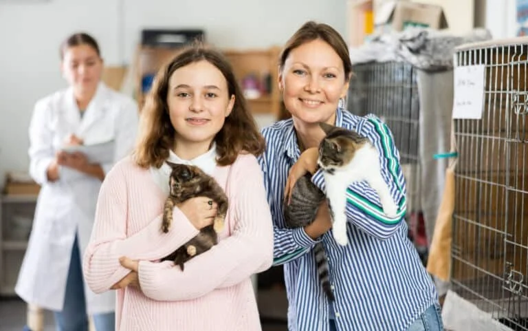 How to Find Good Homes for a Litter of Kittens