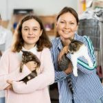 How to Find Good Homes for a Litter of Kittens