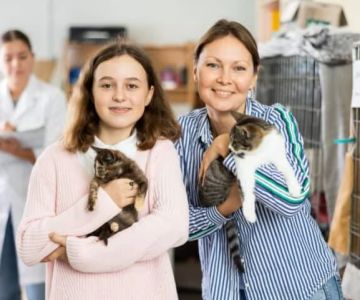How to Find Good Homes for a Litter of Kittens