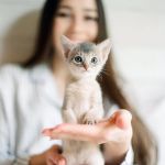 Why Is My Kitten So Clumsy? Coordination Development Guide