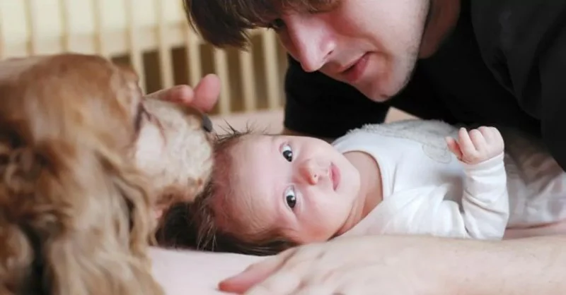 How to Introduce Your Dog to a New Baby Safely