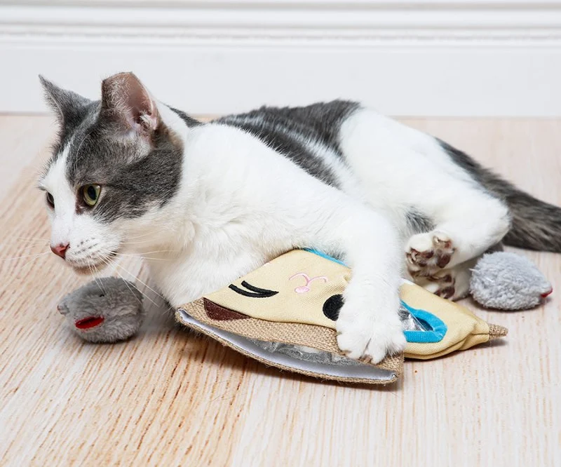 The Best Toy for a Kitten's Hunting Practice: Fake Mice for Fun and Exercise