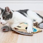 The Best Toy for a Kitten's Hunting Practice: Fake Mice for Fun and Exercise