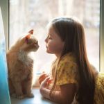 How to Socialize Your Kitten with Children — Tips for a Safe and Happy Home