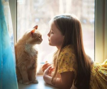 How to Socialize Your Kitten with Children — Tips for a Safe and Happy Home