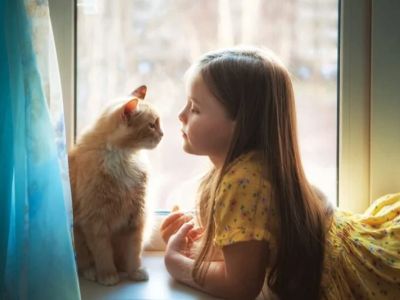 How to Socialize Your Kitten with Children — Tips for a Safe and Happy Home