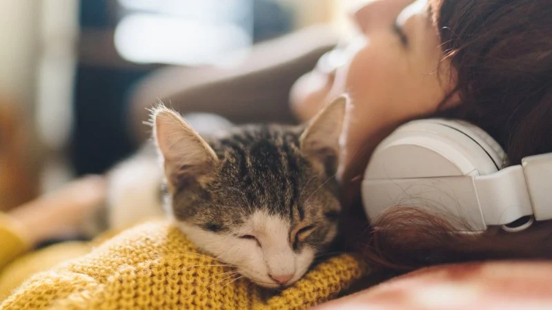 Why Does My Kitten Sleep on My Face? Understanding Feline Behavior