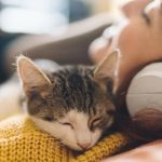 Why Does My Kitten Sleep on My Face? Understanding Feline Behavior