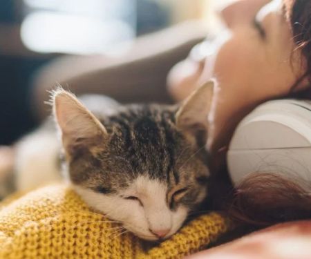 Why Does My Kitten Sleep on My Face? Understanding Feline Behavior