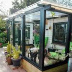 How to Create a Safe Outdoor Enclosure for Your Cat – Tips and Ideas