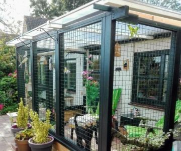 How to Create a Safe Outdoor Enclosure for Your Cat – Tips and Ideas