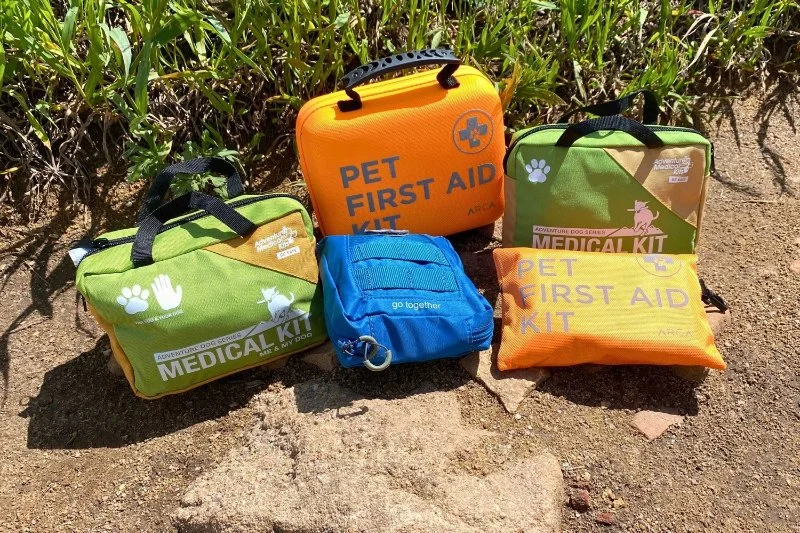 First Aid Kit for Dogs: Essential Items and How to Use Them
