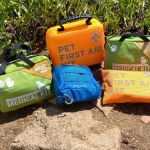 First Aid Kit for Dogs: Essential Items and How to Use Them
