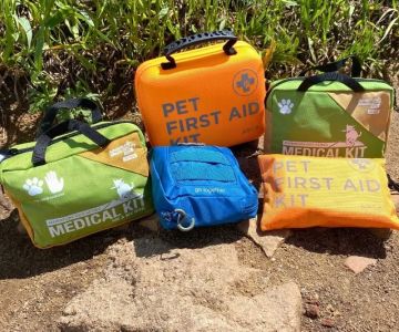 First Aid Kit for Dogs: Essential Items and How to Use Them