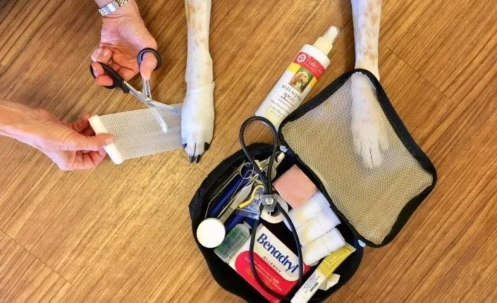 How to Make Your Own Pet First Aid Kit at Home for Emergencies