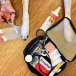 How to Make Your Own Pet First Aid Kit at Home for Emergencies