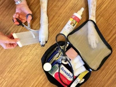 How to Make Your Own Pet First Aid Kit at Home for Emergencies