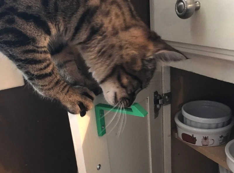 How to Stop Your Kitten from Getting Stuck in Tight Spaces Safely