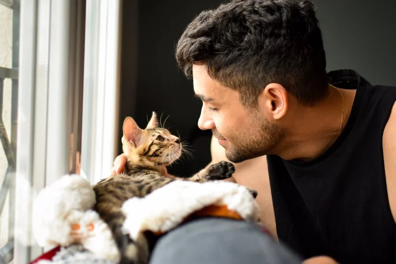 How to Choose the Perfect Name for Your New Kitten