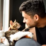 How to Choose the Perfect Name for Your New Kitten