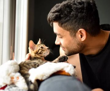 How to Choose the Perfect Name for Your New Kitten