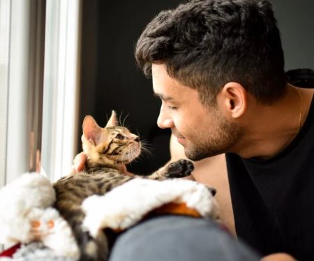 How to Choose the Perfect Name for Your New Kitten