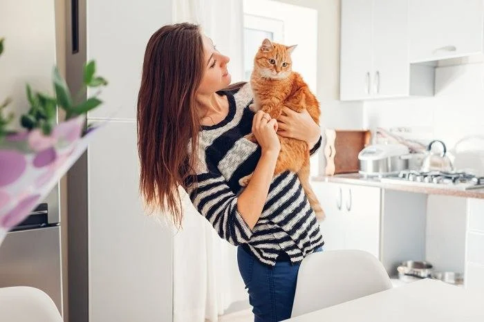The Best Ways to Discipline a Kitten Without Fear or Stress