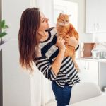 The Best Ways to Discipline a Kitten Without Fear or Stress