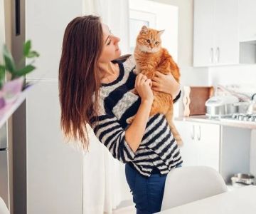 The Best Ways to Discipline a Kitten Without Fear or Stress