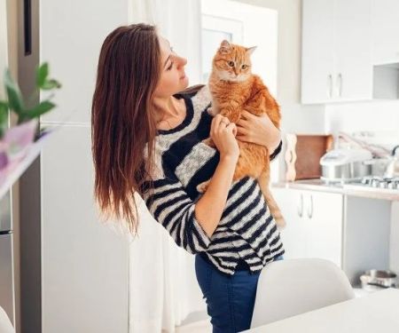 The Best Ways to Discipline a Kitten Without Fear or Stress