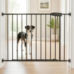 Pet Gate Safety: Fit the Opening, Pet, and Location