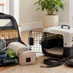 Pet Evacuation Go-Bag: Build, Label, and Rotate It