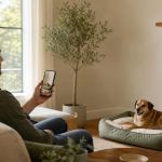 Pet Camera Setup: View, Privacy, Cords, and Alerts