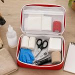 What Belongs in a Pet First Aid Kit—and What Does Not